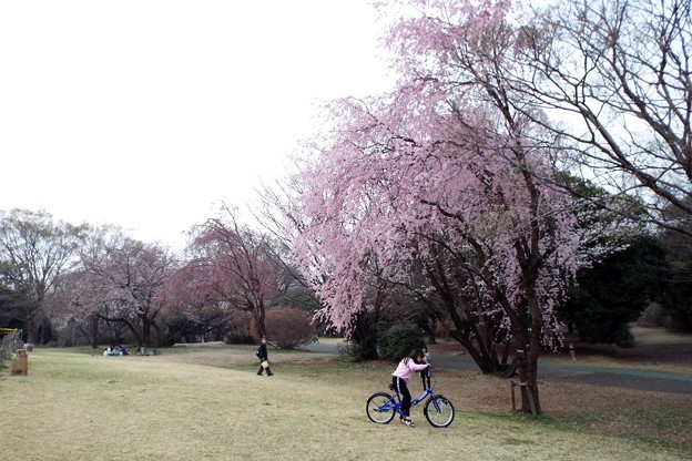 DSCF0476