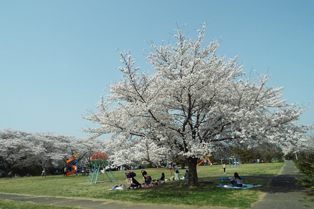 DSCF0119