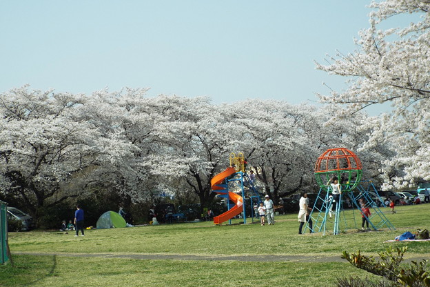 DSCF0136