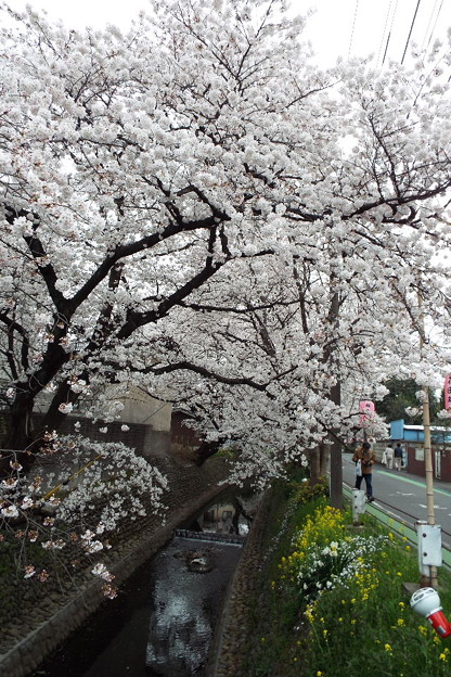 DSCF0348