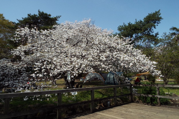 DSCF0623