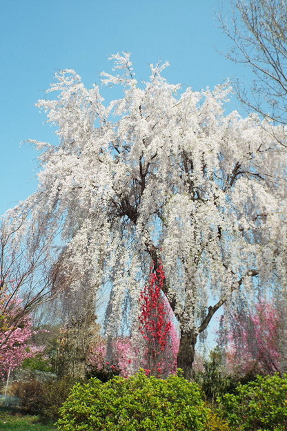 DSCF0096