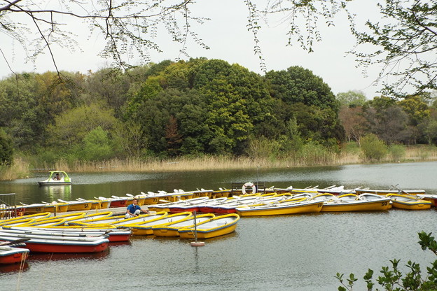 DSCF0012