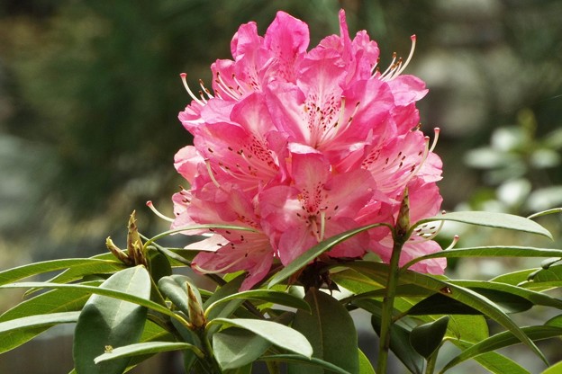 DSCF0193