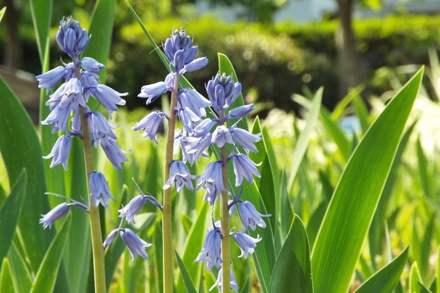 DSCF0136