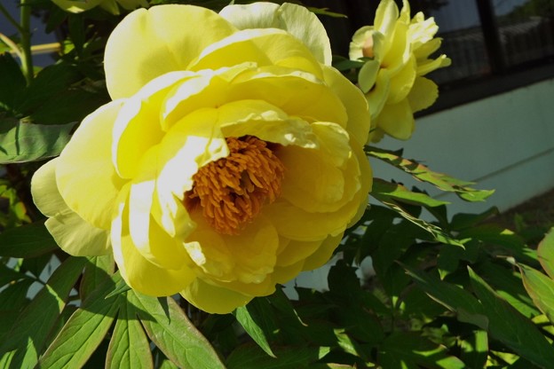 DSCF0249