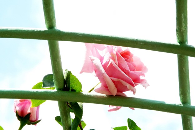 DSCF0358