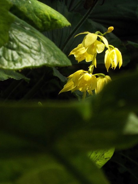 DSCF0135