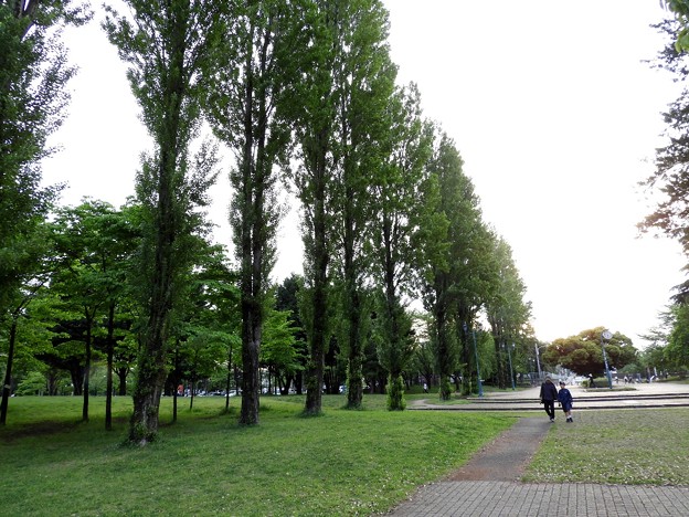 DSCN0029