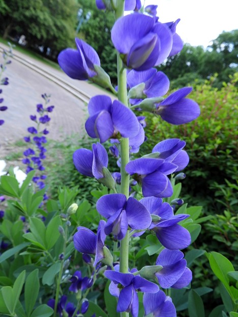 DSCN0084