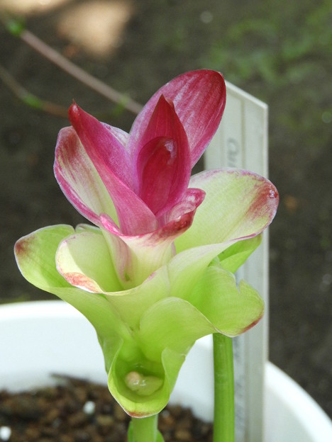 DSCN0023