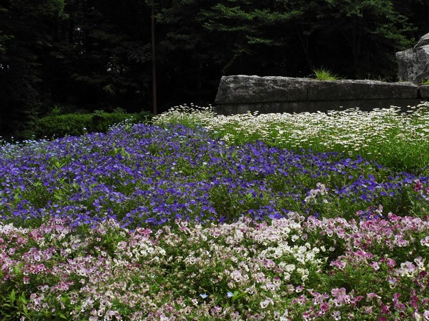 DSCN0008