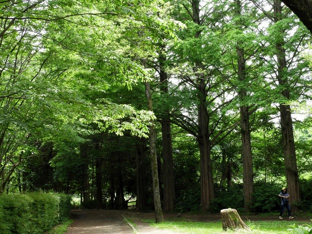 DSCN0083