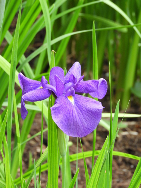 DSCN0074