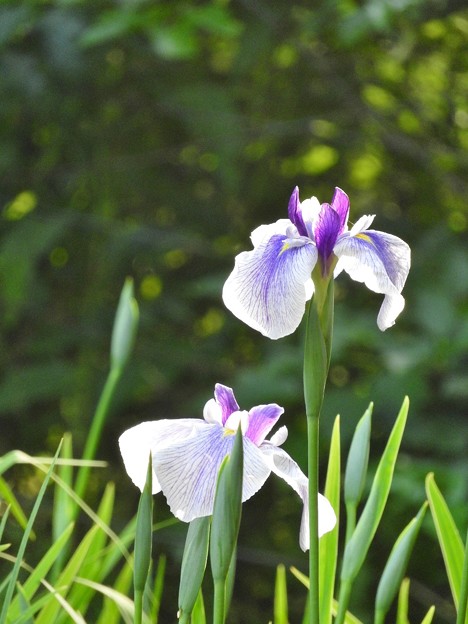 DSCN0146