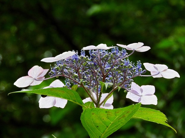 DSCN0258