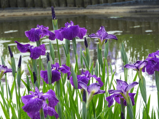 DSCN0614