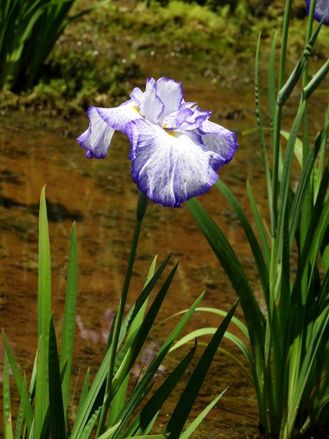 DSCN0155