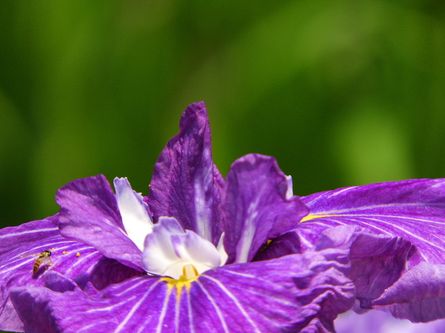DSCN0449