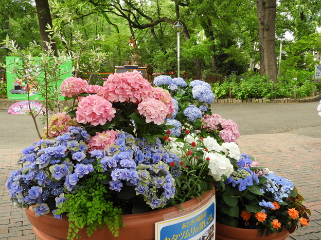 DSCN0878