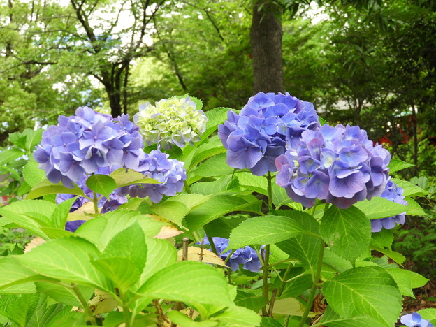 DSCN0141