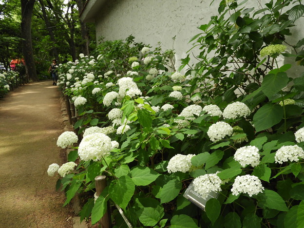 DSCN0338