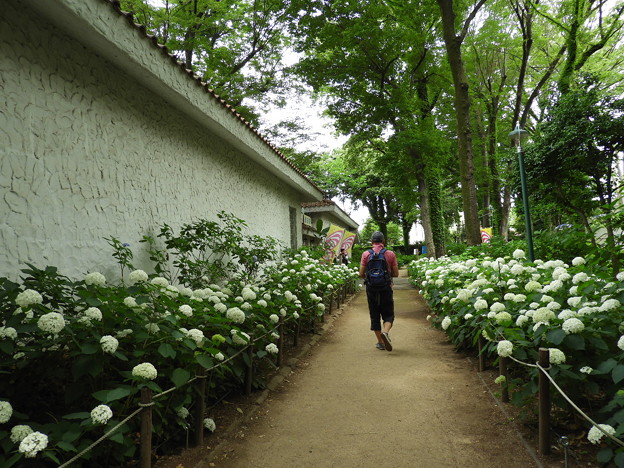 DSCN0356