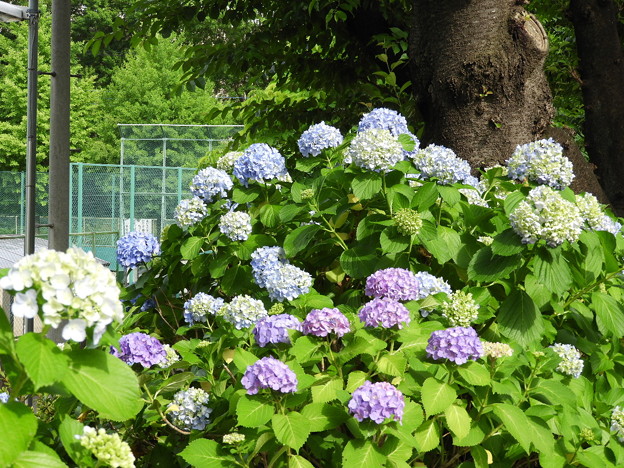DSCN0059