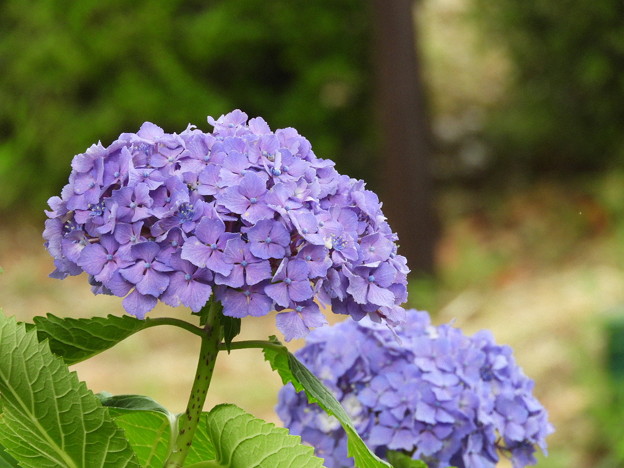 DSCN0084
