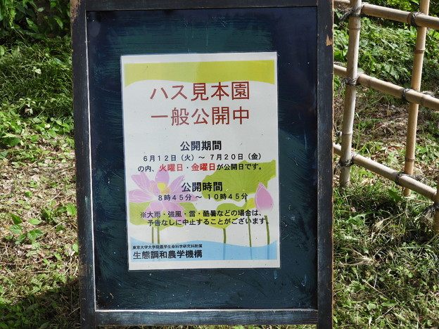 DSCN0005
