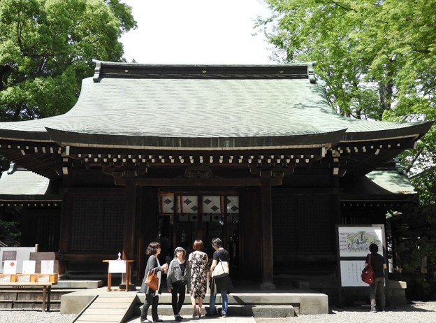 DSCN0338
