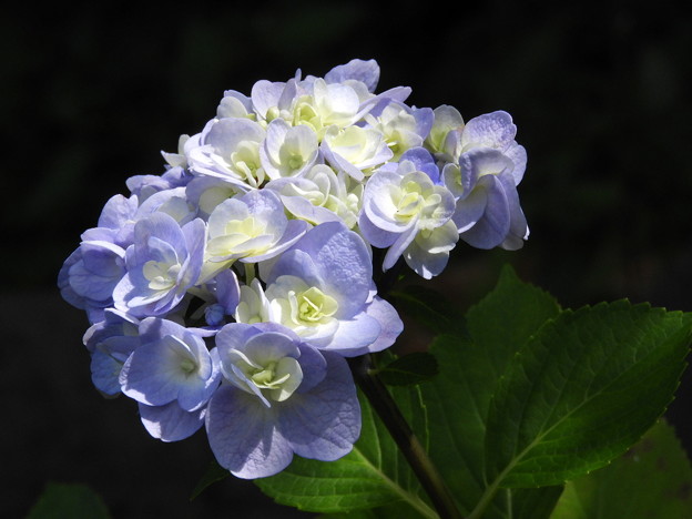 DSCN0357