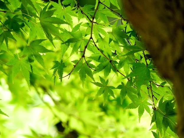 DSCN0209