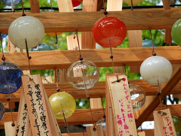DSCN0202