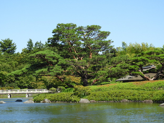 DSCN0213