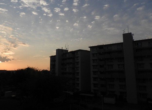 DSCN0001