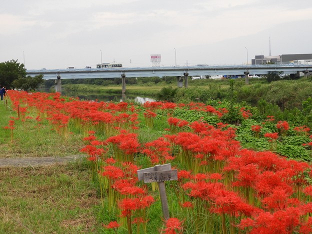 DSCN0624