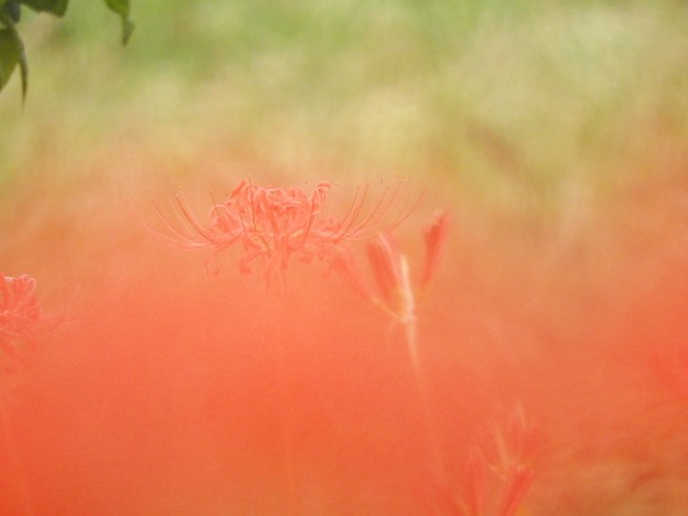 DSCN0544