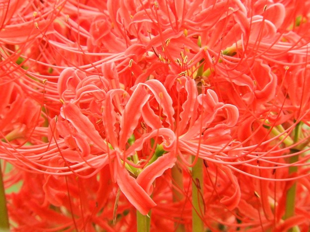 DSCN0636