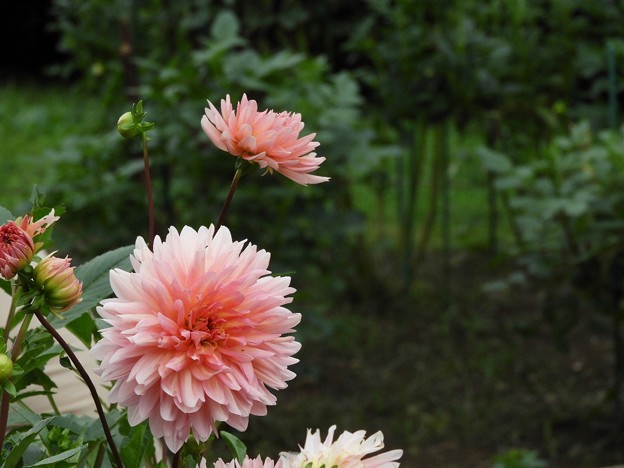 DSCN0580