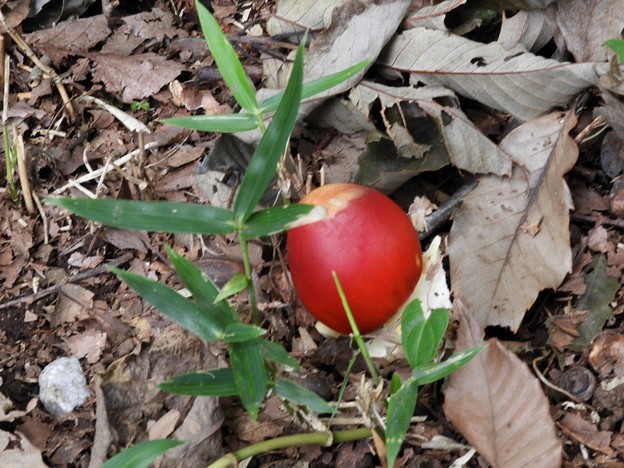 DSCN0055