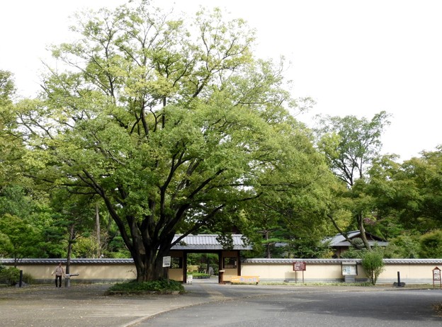 DSCN0009