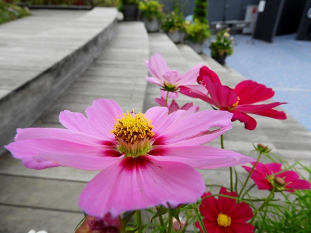 DSCN0057