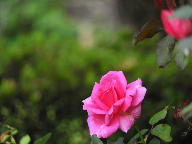 DSCN0205