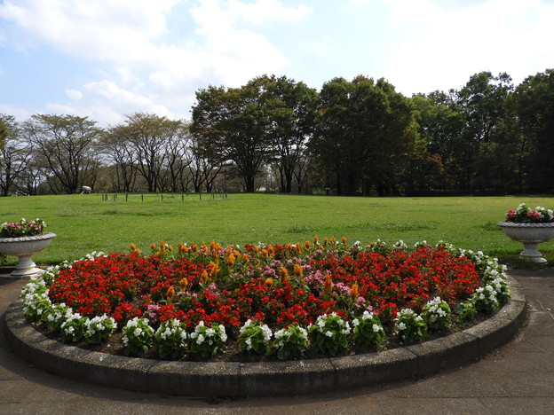 DSCN0080