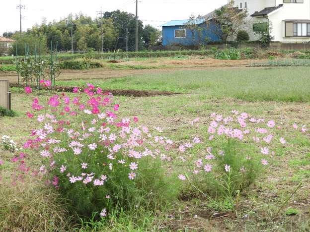 DSCN0263