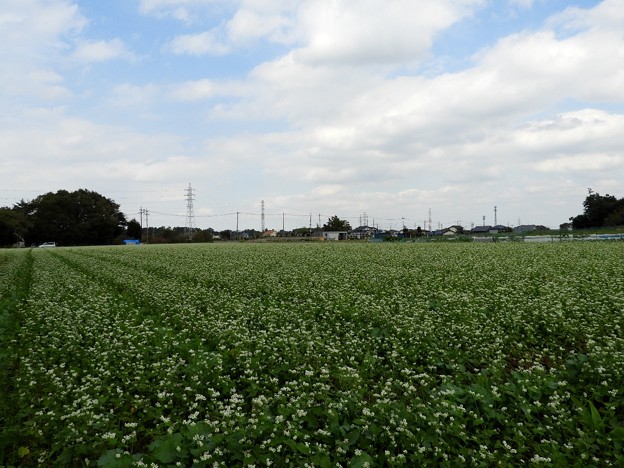 DSCN0286