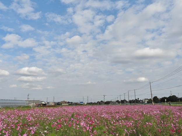 DSCN0064