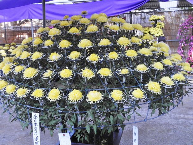 DSCN0466