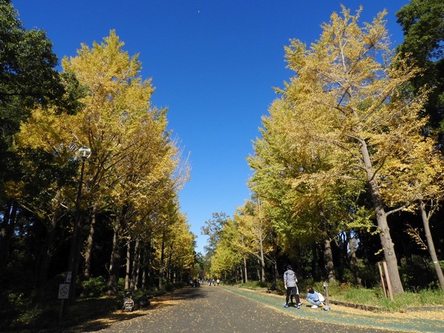 DSCN0099